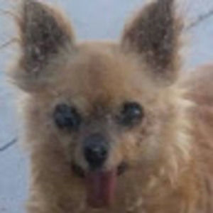 Meet your Posher, Macie